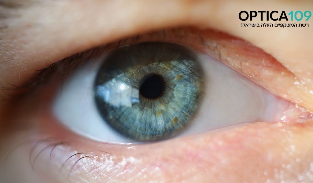 צניחת עף עף